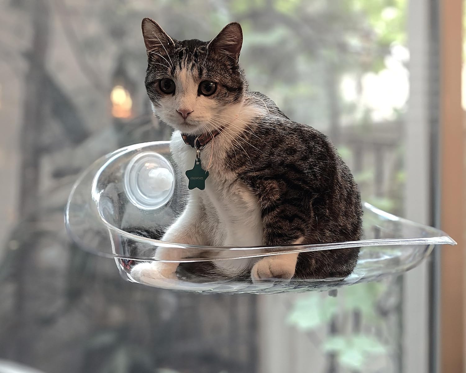 Universal Cat Window Hammock – Hanging Bed for Cats, Space-Saving Suspended Pet Bed